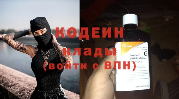 молекула духа Богданович