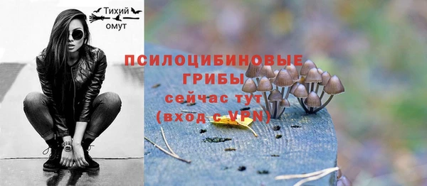 крисы Богородицк