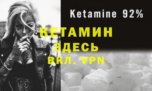 молекула духа Богданович