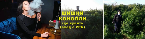 крисы Богородицк