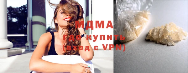 молекула духа Богданович