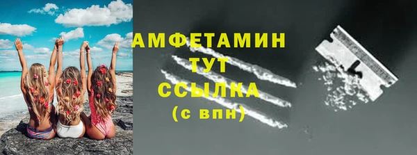 крисы Богородицк