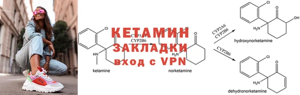 крисы Богородицк