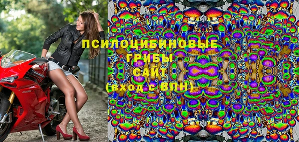 молекула духа Богданович