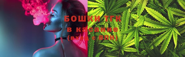 молекула духа Богданович