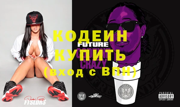 крисы Богородицк
