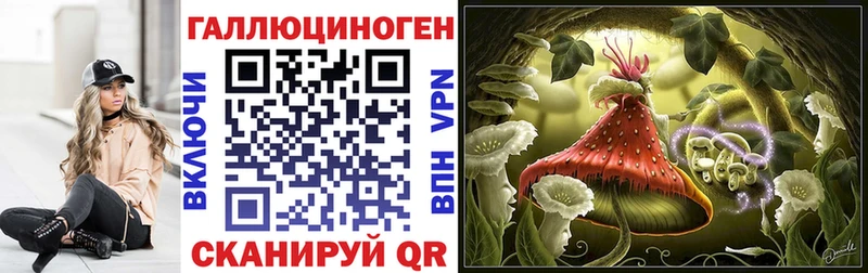 Купить закладки Байкальск Псилоцибиновые грибы Cubensis